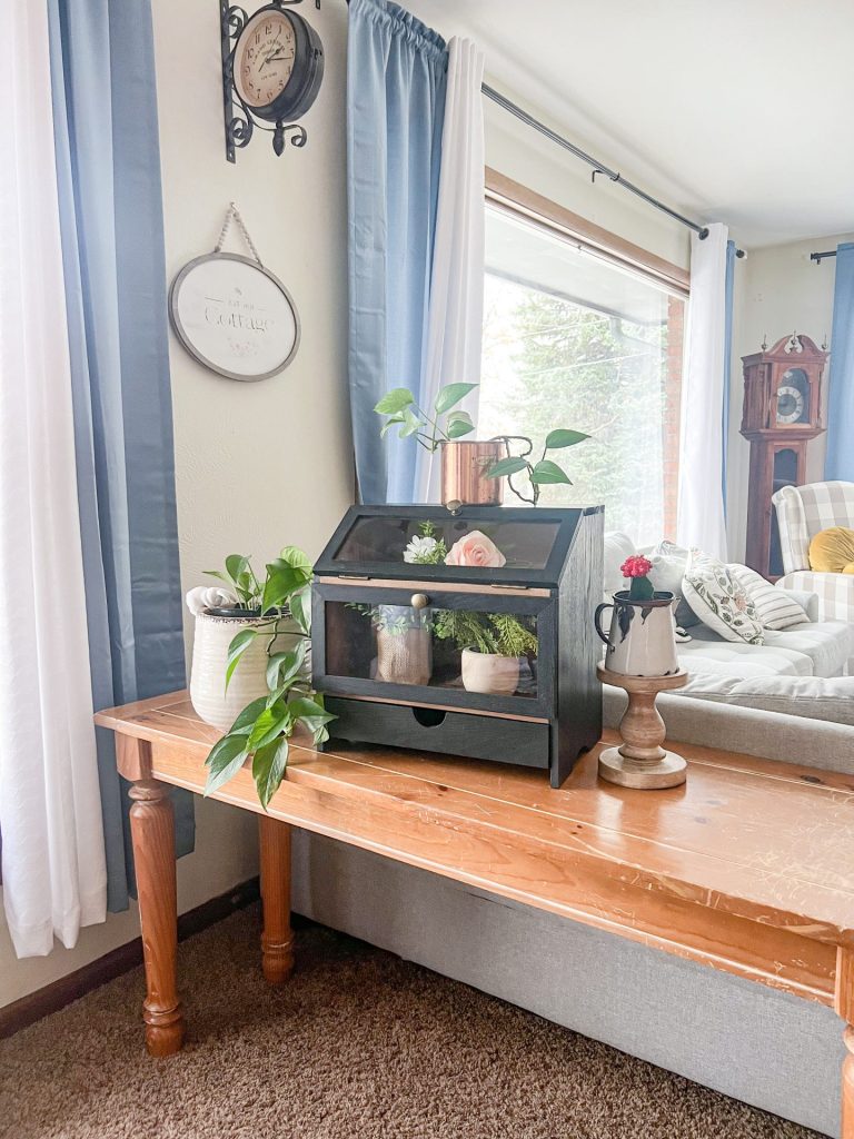 a sunny living room with a view of a bread box decorated as a terrarium