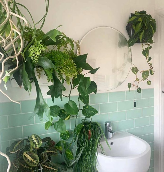 mint green tile bathroom surrounded by hanging plants